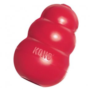 Kong